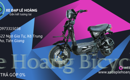 xe-dap-dien-my-tho-chat-luong-hang-dau-tai-le-hoang